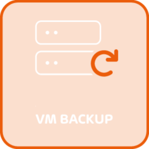 Immagine di Hornetsecurity VM Backup for Hyper-V - Unlimited Edition - RENEW 1 YEAR
