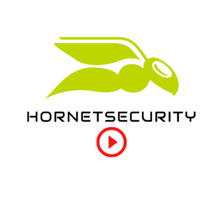 Visualizza i prodotti della categoria Pillole di Hornetsecurity Immagine per la categoria Pillole di Hornetsecurity